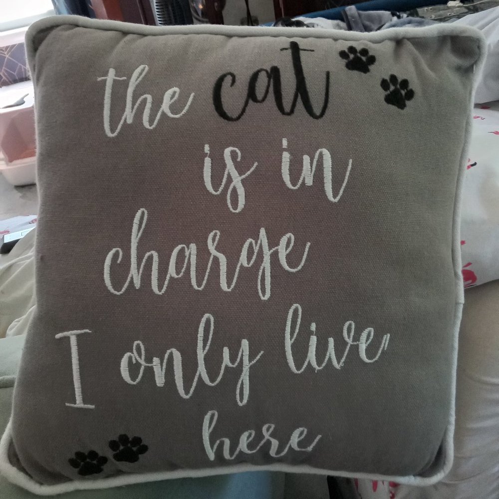 Decorative throw pillow